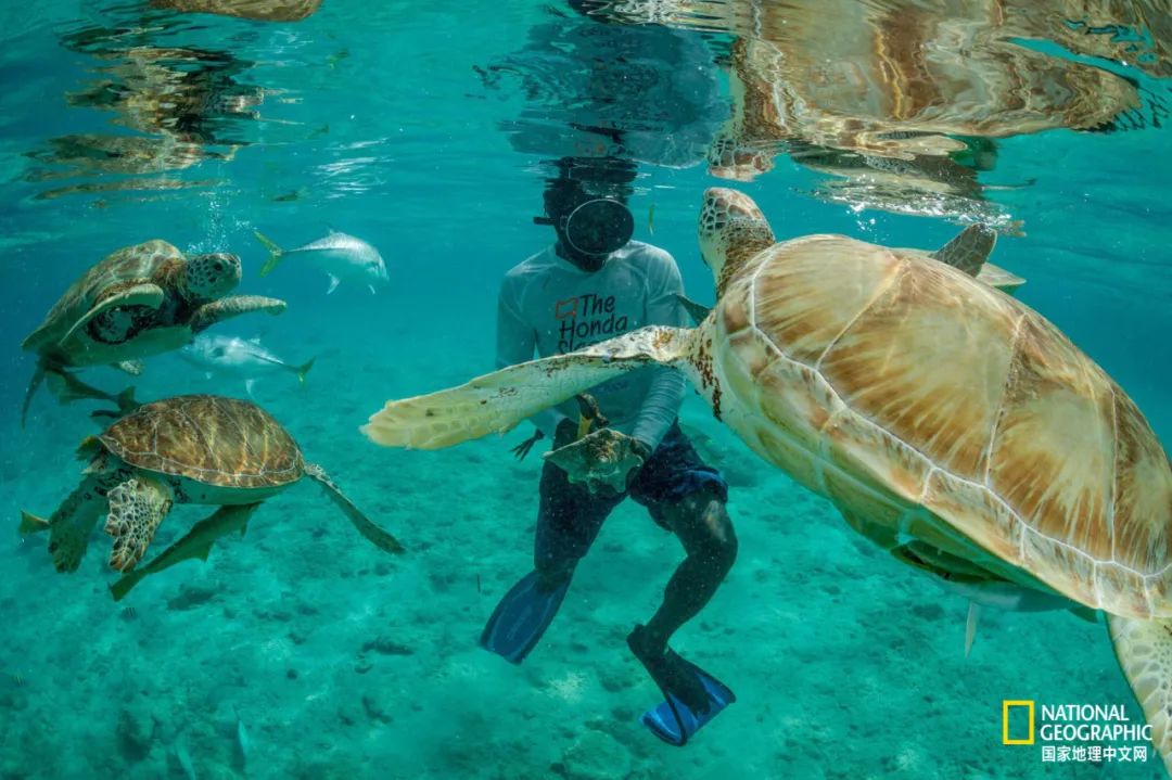 新冠肆虐,新冠在东南亚持续肆虐