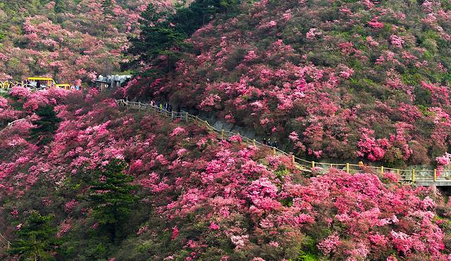 黄陂木兰景区哪个适合孩子玩,武汉黄陂木兰旅游攻略