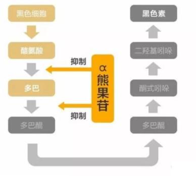 国货，你变了！这个平价“小灯泡”，白到情敌都发慌