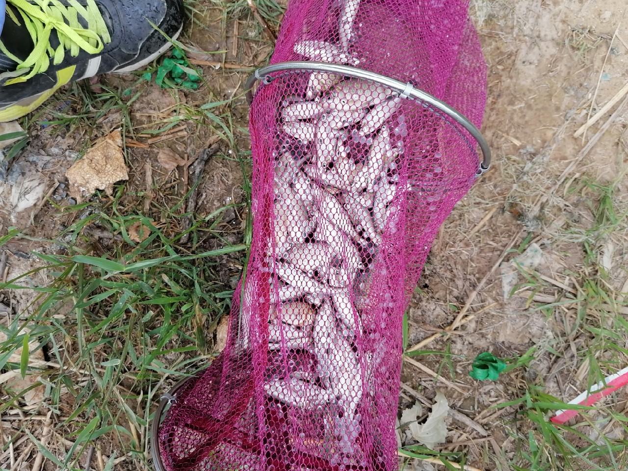 新手一看就会的绑钩技巧,新手也能一次学会的绑钩方法