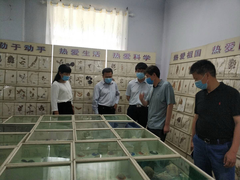 油田二小怎么样,油田二小最新信息