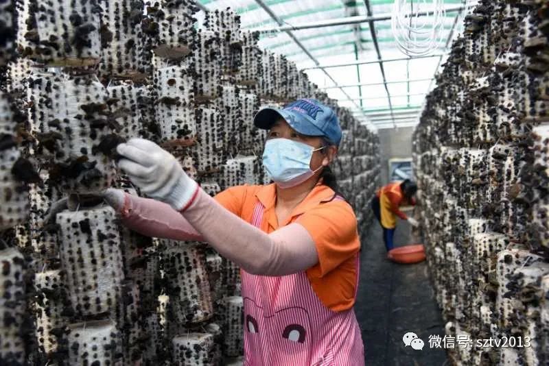 既志在“云”霄，又脚踏实地——专访全国人大代表、宿州市市长杨军