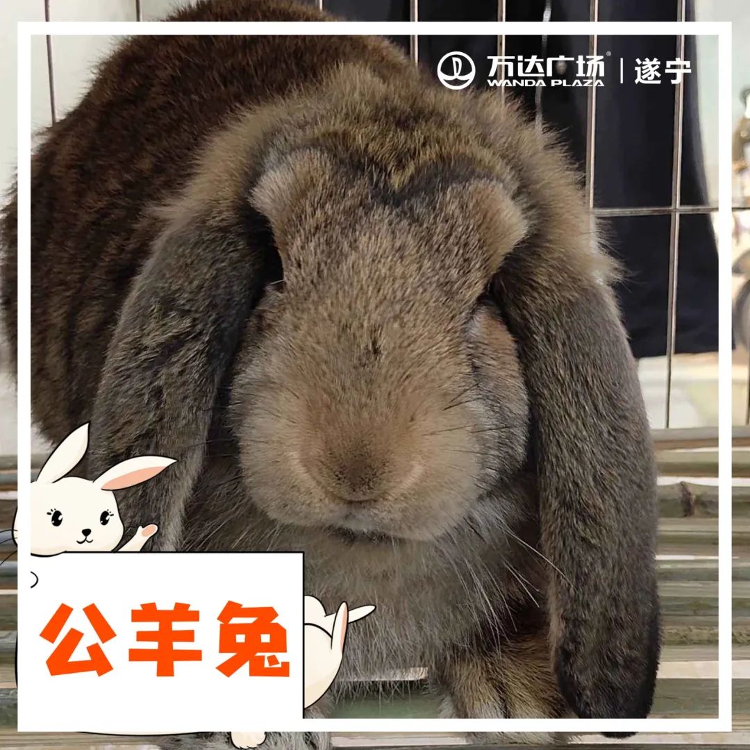 小宝贝解封后秒变“神兽”，这里有魔力啊