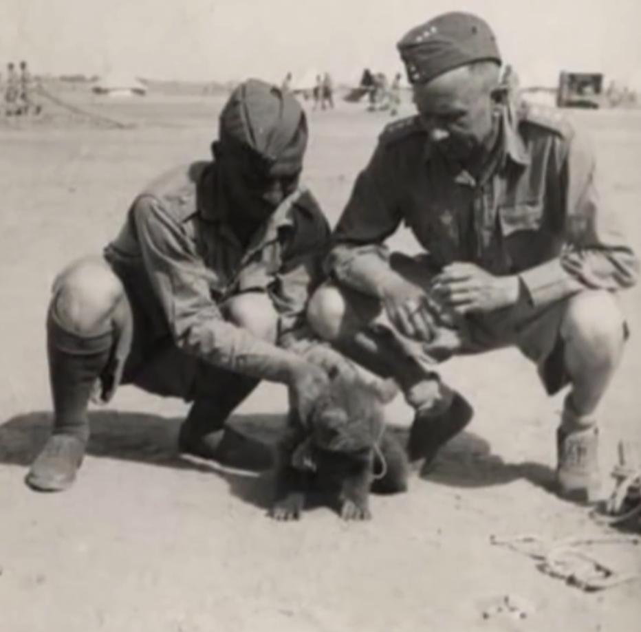 最骚士兵熊：抽烟喝酒花钱，样样在行，还是个战斗英“熊”