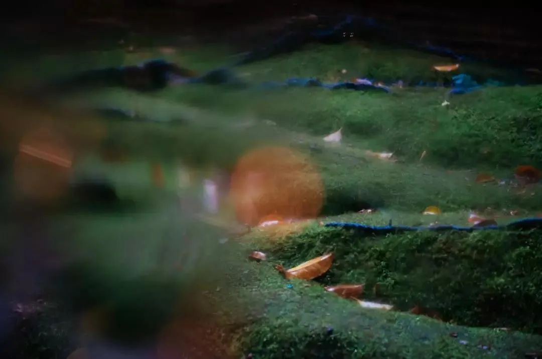 人均1280的餐厅,人均120的砂锅店