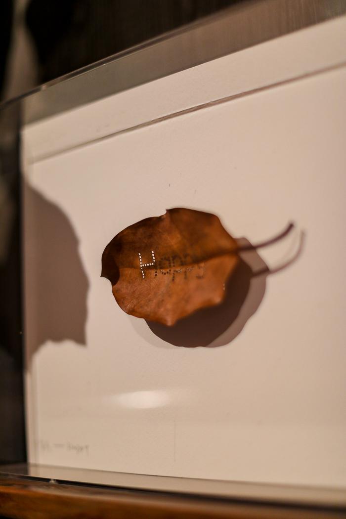 人均1280的餐厅,人均120的砂锅店