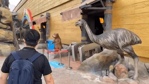 打卡安华汇欢乐舟主题公园,安华汇欢乐舟主题乐园真实视频