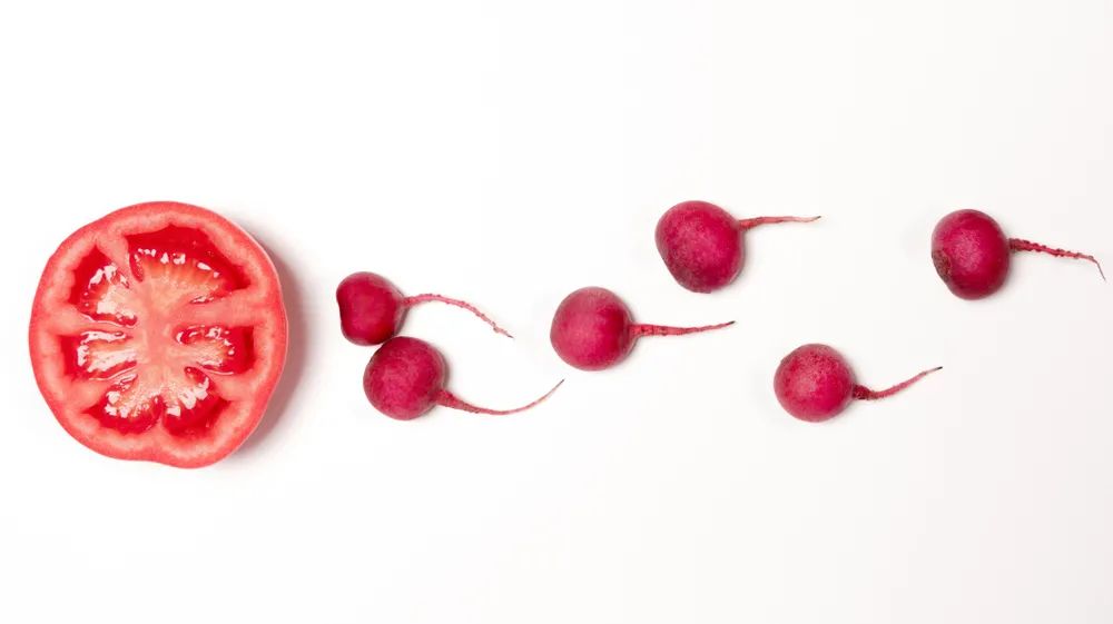 男生身体的小秘密你都知道哪些,女生身体的12个小秘密男生必读篇