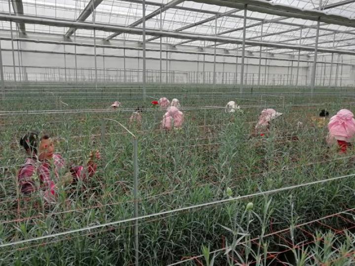 凝心聚力开新局砥砺奋进谋新篇ppt,月望村发展