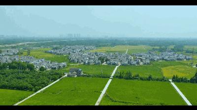 “州州伴你行”第30期丨崇州，到底有多大？每个人的答案都不一样！