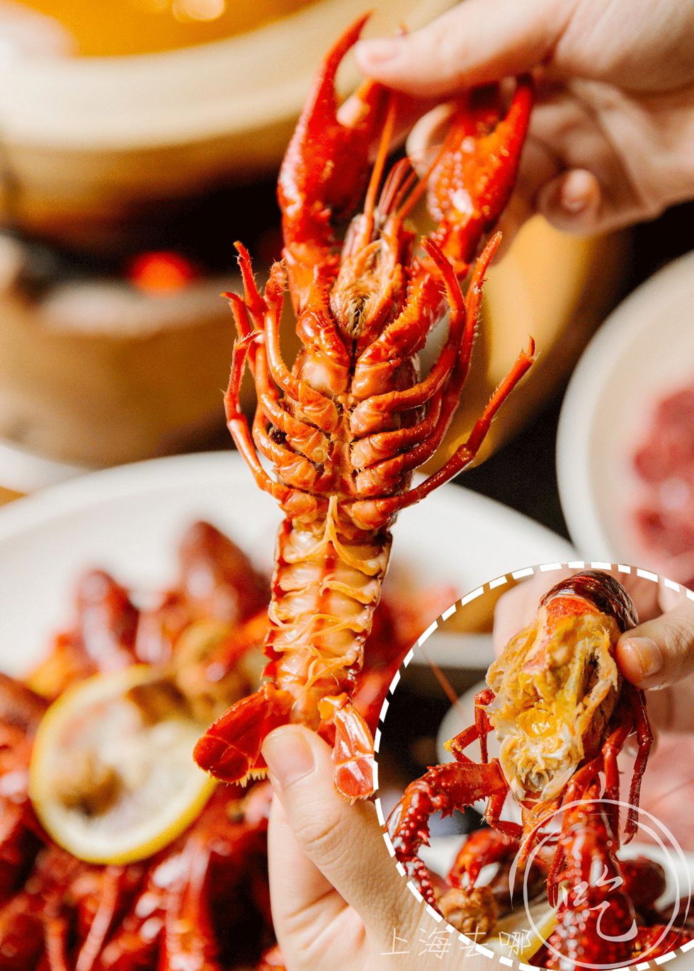 开哪排到哪！「朱雀打边炉」浦东虹口也有了