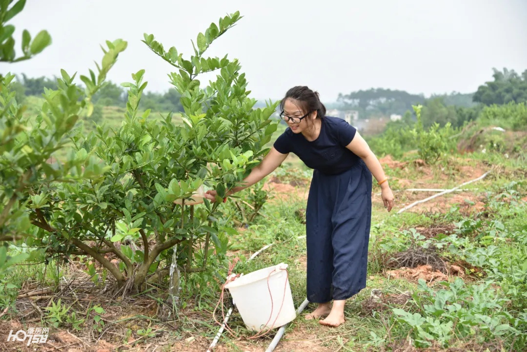 给力！怀集为妇女创业“贷”来“及时雨”