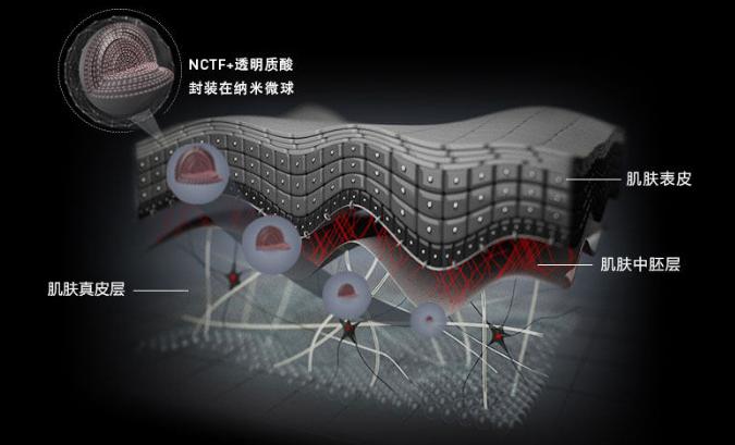 赌王千金访谈完整视频,赌王千金ins