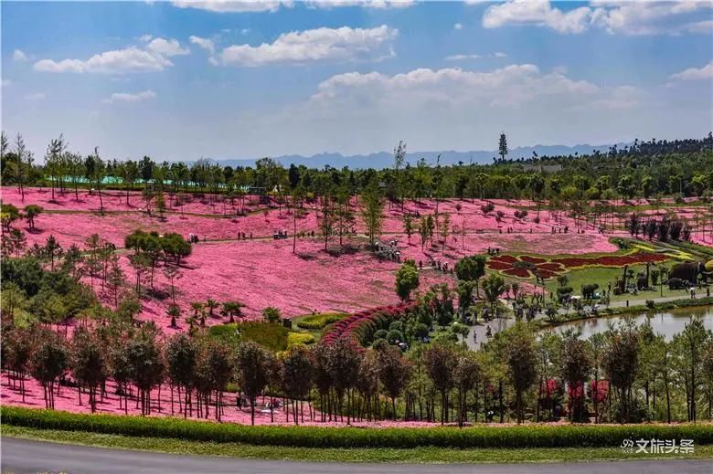 从四首闲适小诗里感受太平湖森林小镇最美田园生活