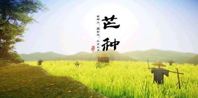 芒种新的开始,芒种台湾