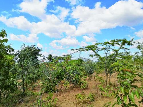 地质人眼中的世界,地质队眼里的美景