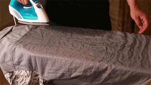 每天在家里抓10多只虫,每天在家里抓10只虫子