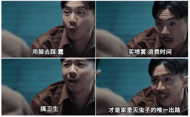 每天在家里抓10多只虫,每天在家里抓10只虫子