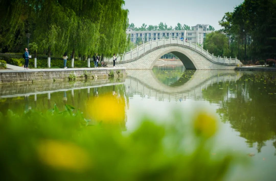 成都大学与哪所大学实力相当,成都大学是什么级别的大学