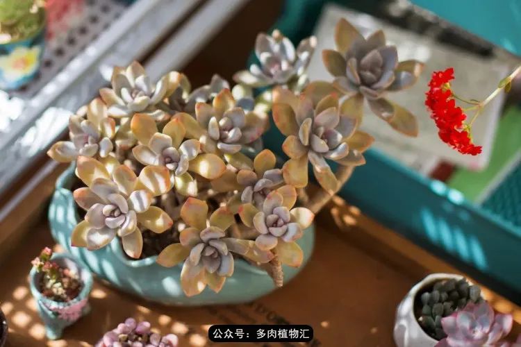 专注于自己喜欢的事情,专注于自己喜爱的事情