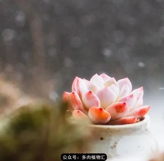 专注于自己喜欢的事情,专注于自己喜爱的事情