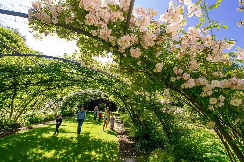 塞纳河畔旧书摊,塞纳河畔旧书摊的故事