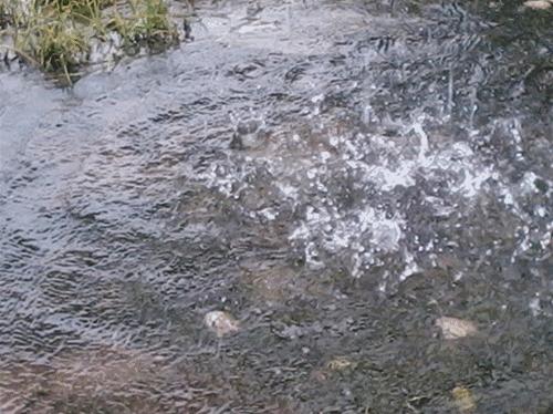 官宣的新消息,官宣时间确定了吗