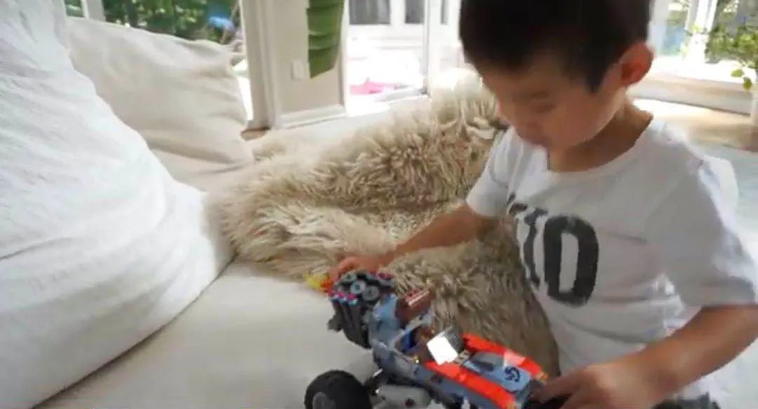 为什么收养孩子又弃养,收养孩子之后可以弃养吗