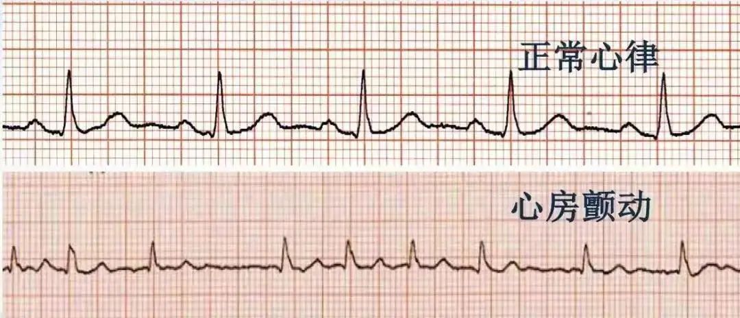 地区医院“摆摊首秀”来一波