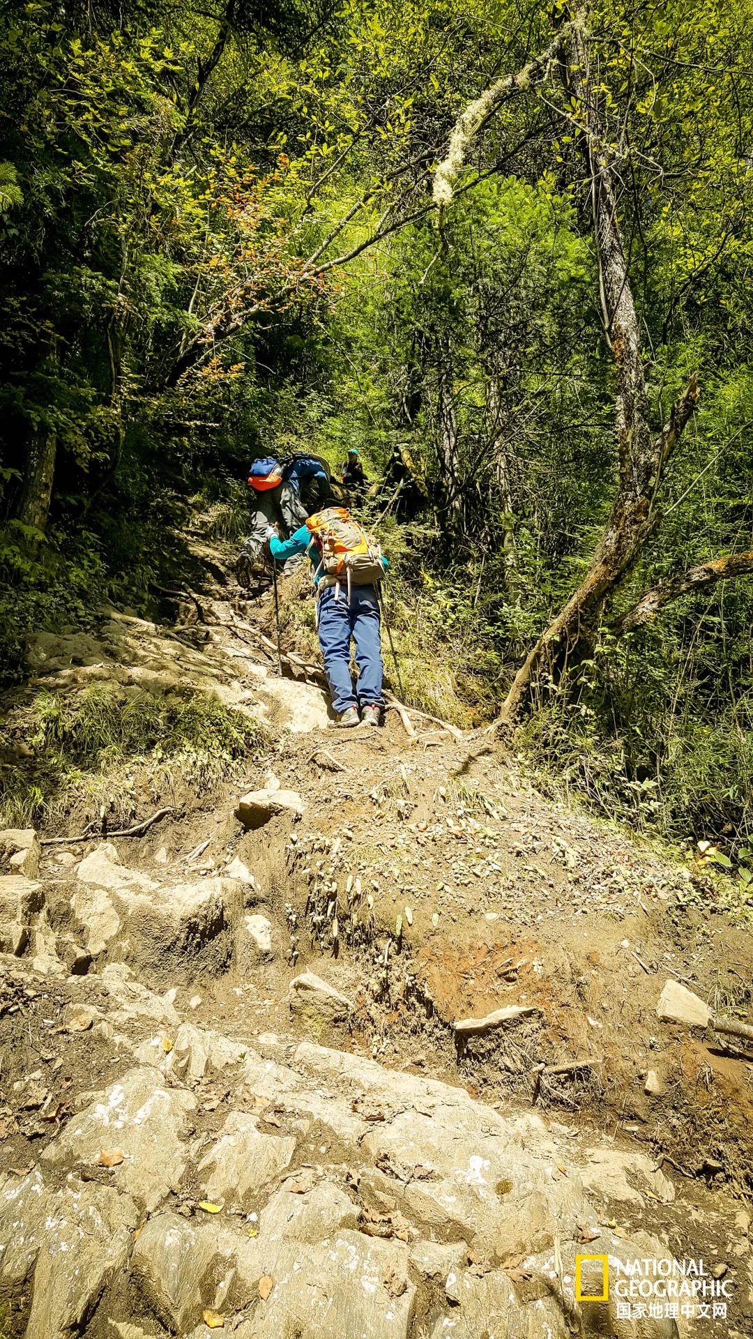 雨崩村自驾转山攻略,雨崩转山朝圣之旅