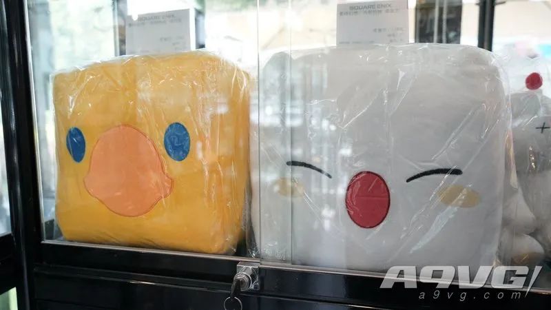 secafe北京pop店探店粉丝之地,secafe