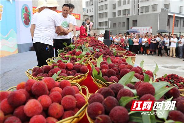 暖水镇第三届杨梅节,南乡镇第三届杨梅节