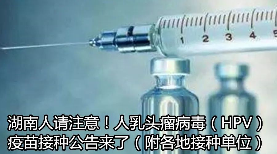 微信群的普遍现象,微信群现象