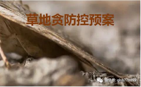 千卫®-S：专利技术，虫卵双杀，药效持久，连续使用无抗性，安全又环保