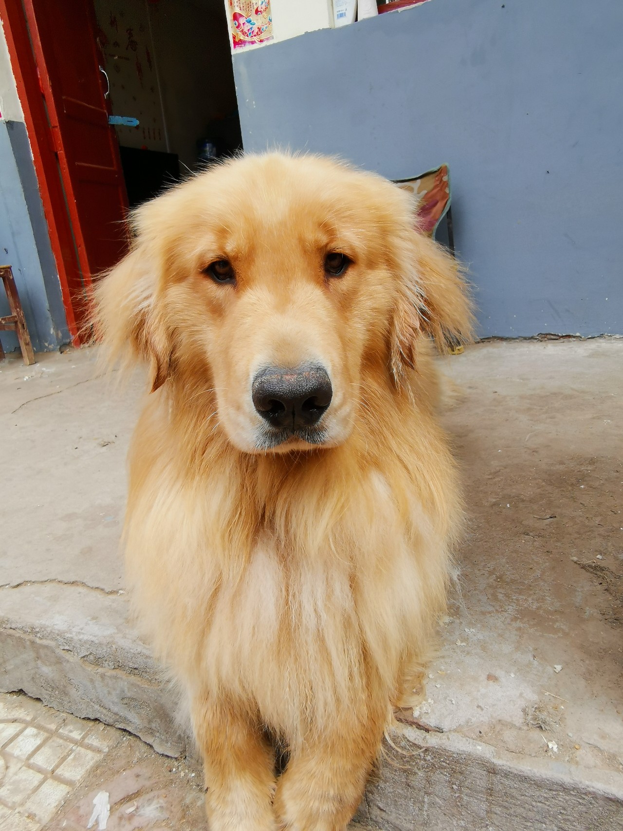 小浪底钓鱼上鱼瞬间,小浪底船钓大板鲫