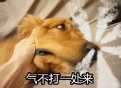 清洁毛孔黑头粉刺吸尘器,doco超微小气泡毛孔吸尘器直播