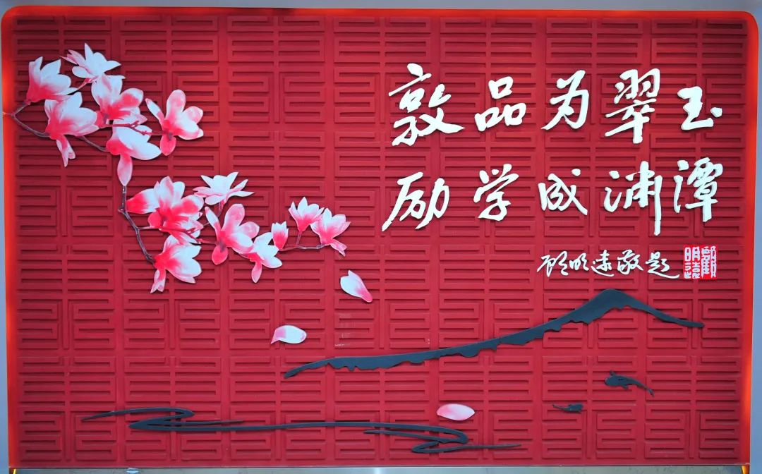 海淀学校都是“宝”，我们带您“云”探校|第二辑