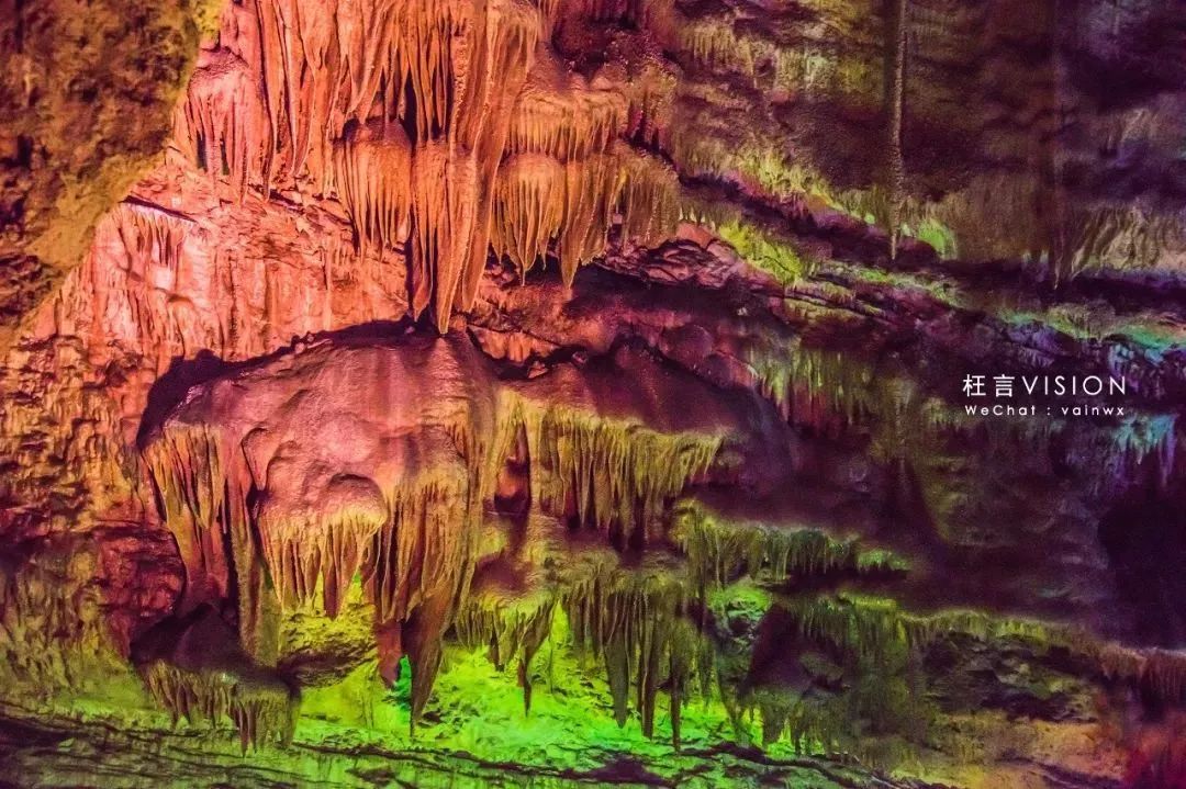 溶洞、观鸟、湿地雨林、网红吊桥、瀑布...只要99元小鲁哥带你清凉一夏