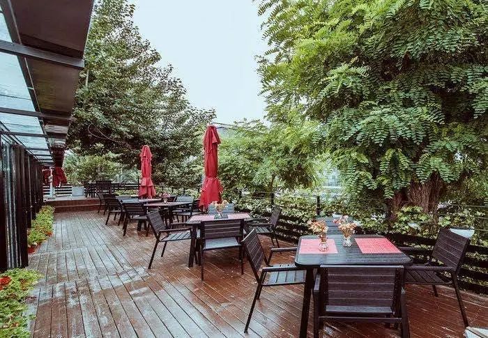 地道的墨西哥菜,最正宗的墨西哥菜