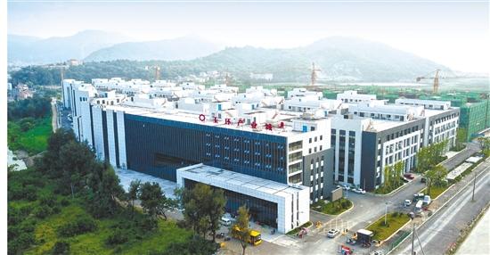 浙报专版︱玉环“东海之珠”闪耀长三角南翼城市群