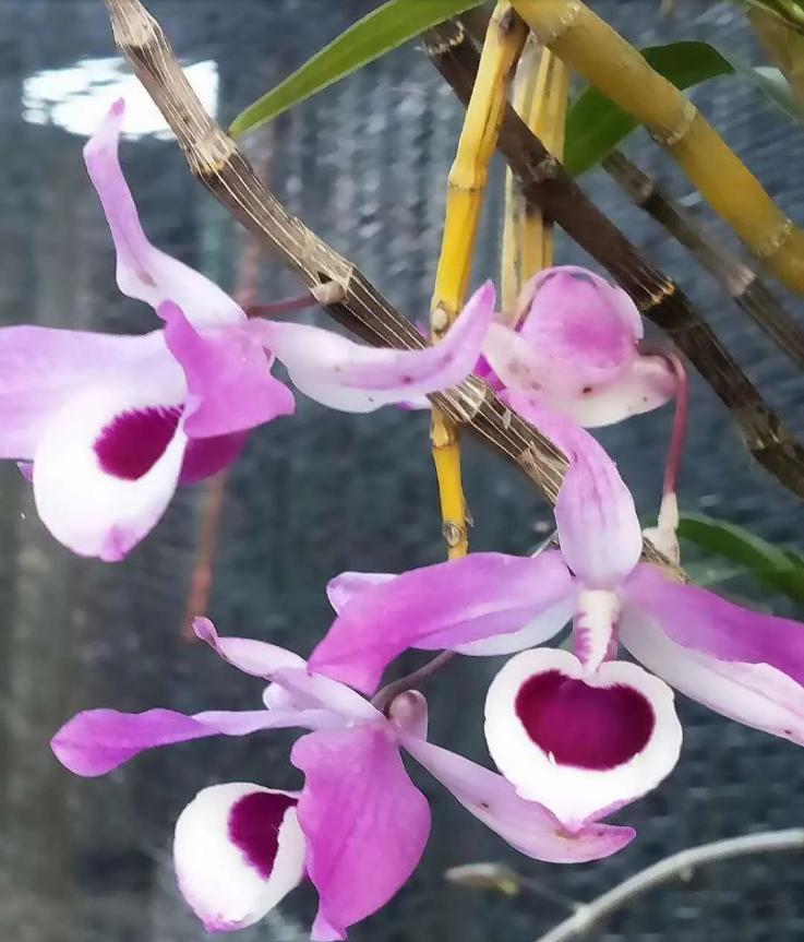 美文阅读人生如诗读后感,悦读美文领悟生活