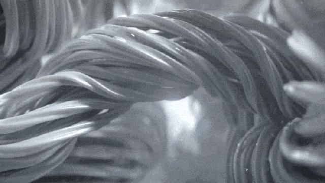 一件顶三件!这件日本背心自发热超保暖,还显瘦