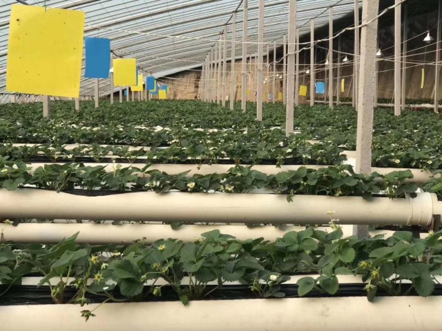 莱州珠江村镇银行股份有限公司,莱州珠江村镇银行靠谱吗