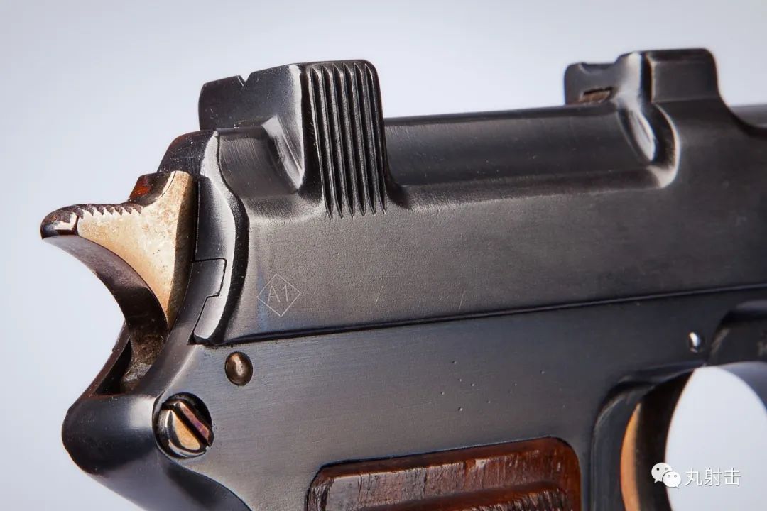 当年与1911齐名的Steyr-Hahn到底是款怎么样的手枪