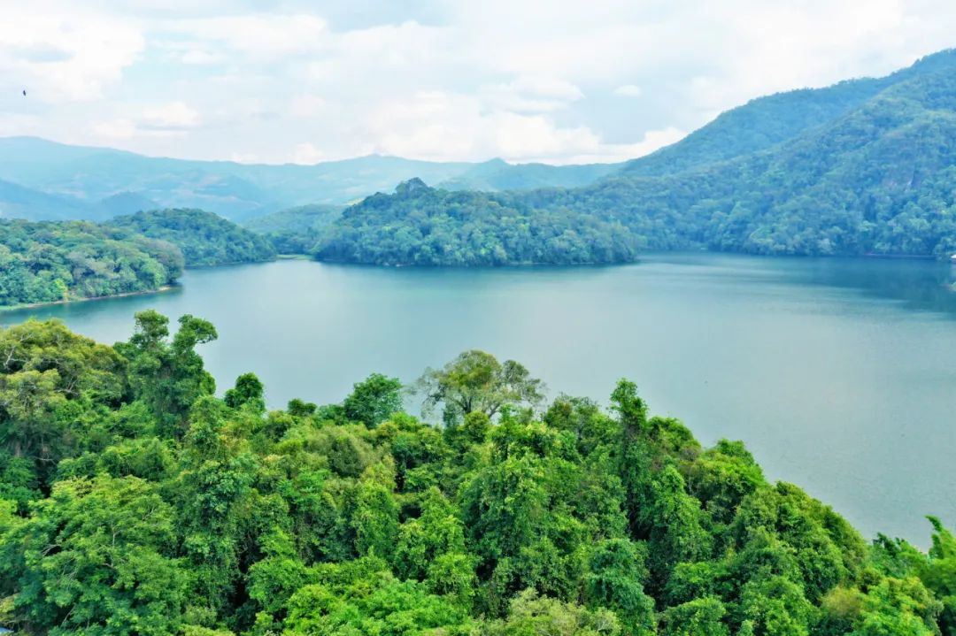 悦读——佤山的鸟儿：黑头公