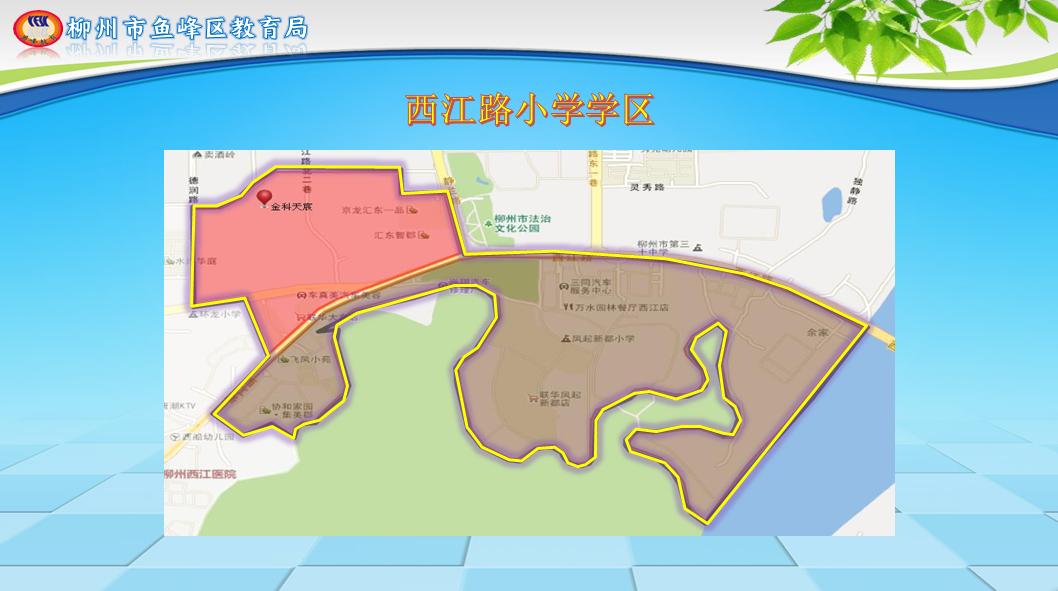 柳州市义务教育阶段公办学校,柳州市小学学区最新划分
