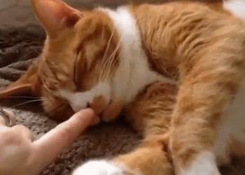 @柳州人看过来，事关你的银行卡，很多人还不知道