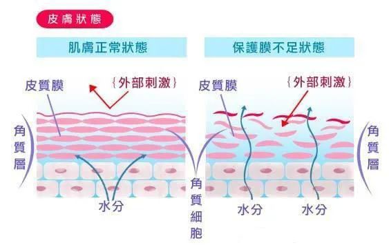 百人测评团|蒸笼天里,想让肌肤“一秒入水”,可能吗?