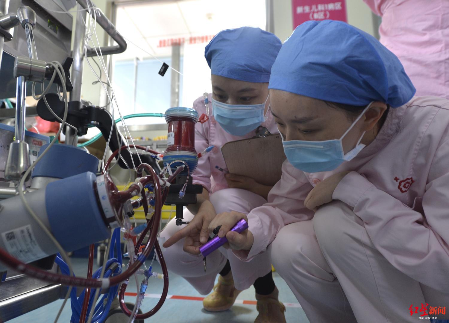 ecmo抢救新生儿,新生儿ecmo抢救无效纪录片