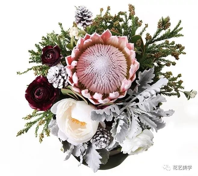 节日丨父亲节，除了向日葵还能送啥花